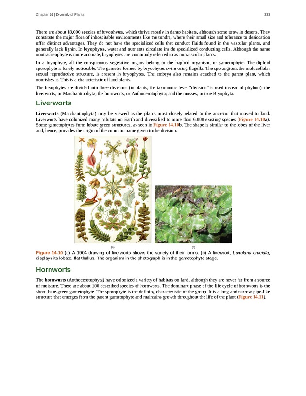 Concepts of Biology (non-majors) - Page 329