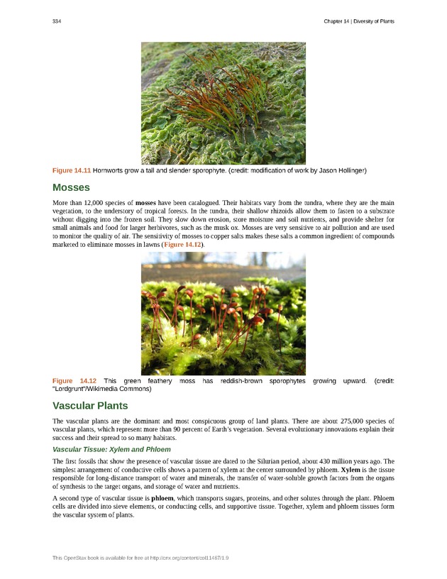 Concepts of Biology (non-majors) - Page 330