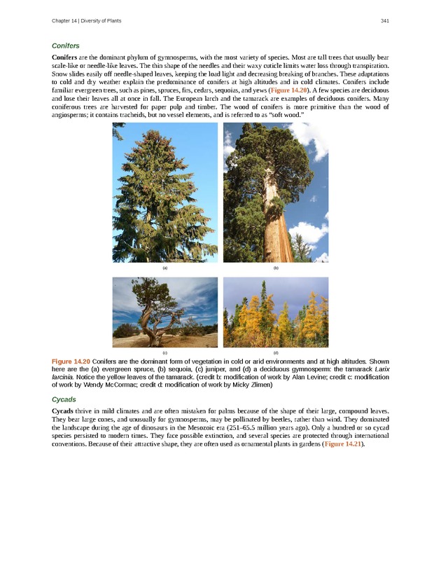 Concepts of Biology (non-majors) - Page 337