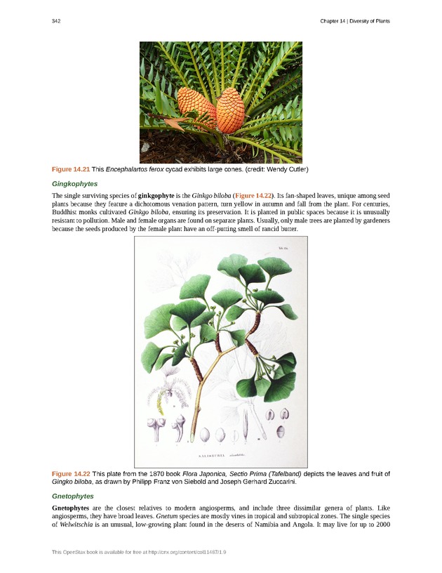 Concepts of Biology (non-majors) - Page 338