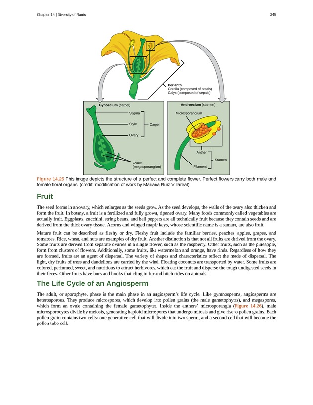 Concepts of Biology (non-majors) - Page 341