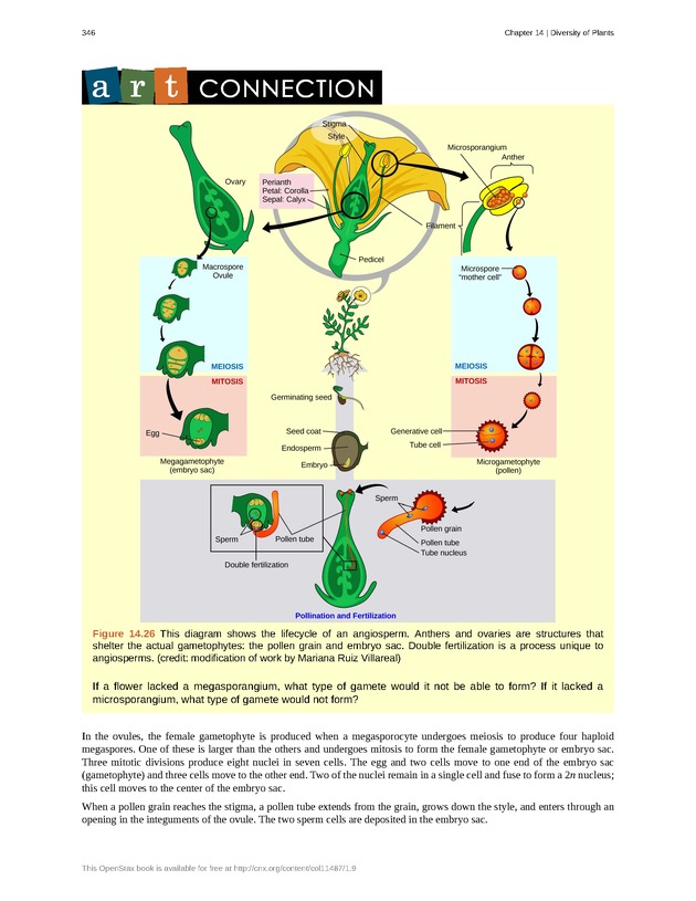 Concepts of Biology (non-majors) - Page 342