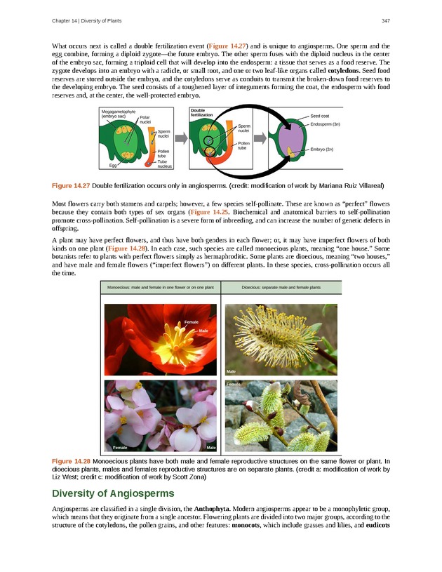 Concepts of Biology (non-majors) - Page 343