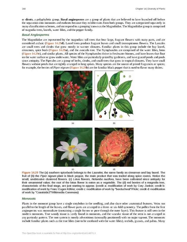 Concepts of Biology (non-majors) - Page 344