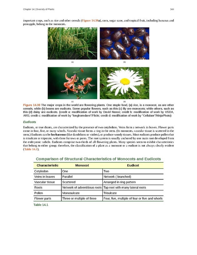 Concepts of Biology (non-majors) - Page 345