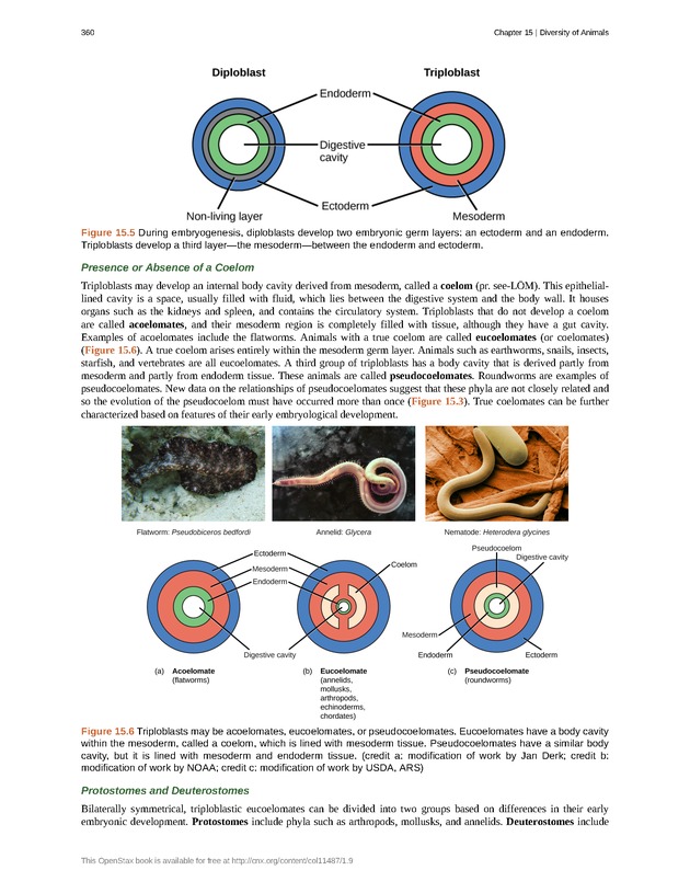 Concepts of Biology (non-majors) - Page 356