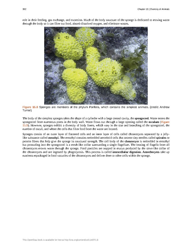 Concepts of Biology (non-majors) - Page 358