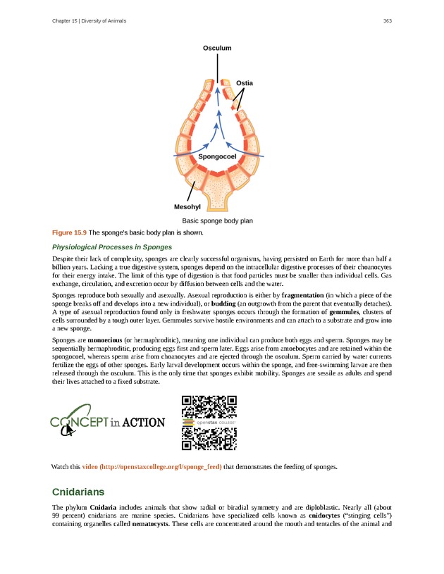 Concepts of Biology (non-majors) - Page 359