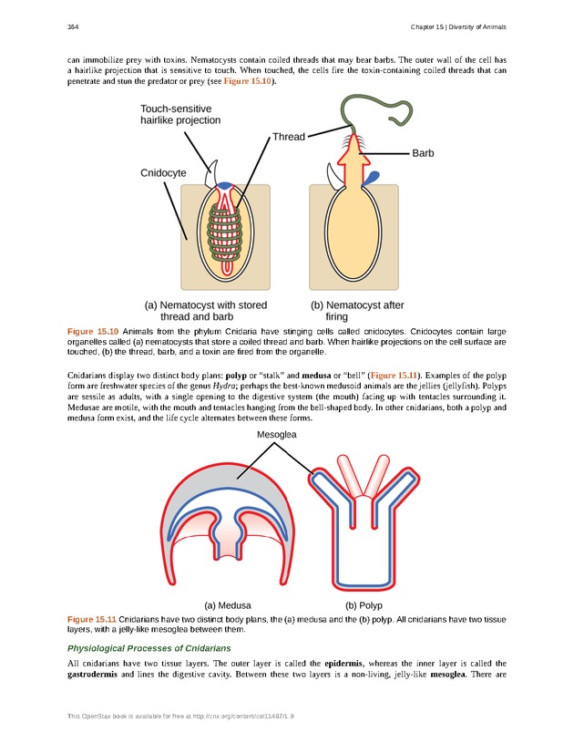Concepts of Biology (non-majors) - Page 360