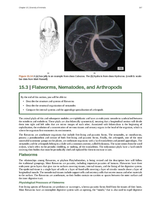 Concepts of Biology (non-majors) - Page 363
