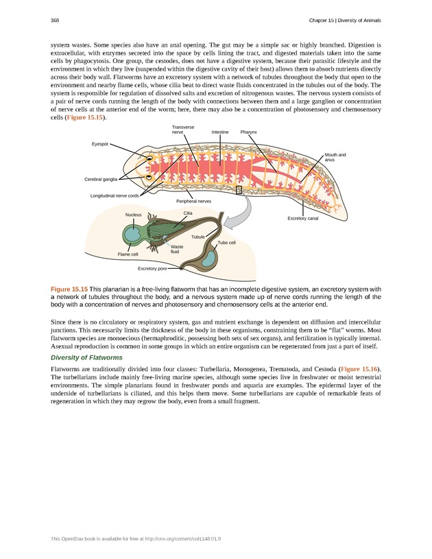 Concepts of Biology (non-majors) - Page 364