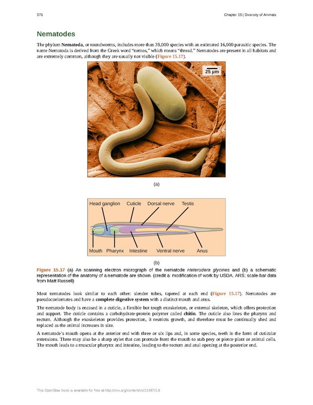 Concepts of Biology (non-majors) - Page 366