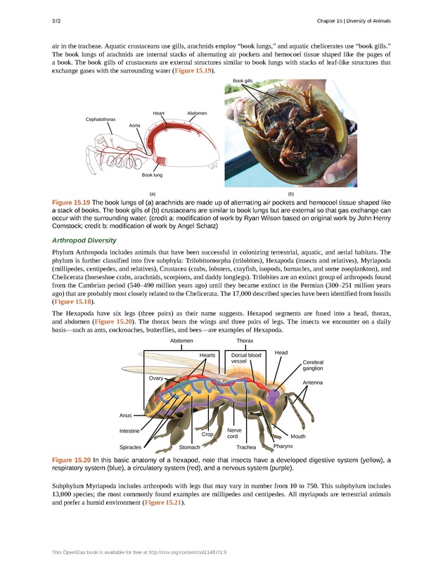 Concepts of Biology (non-majors) - Page 368