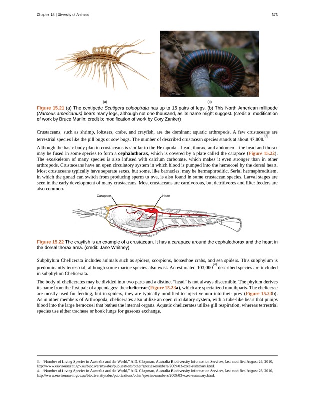 Concepts of Biology (non-majors) - Page 369