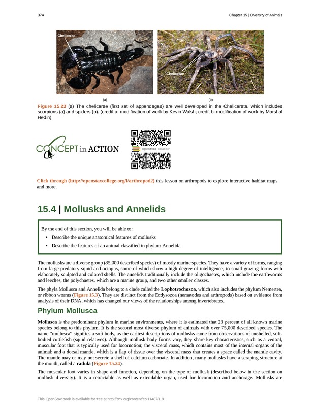 Concepts of Biology (non-majors) - Page 370
