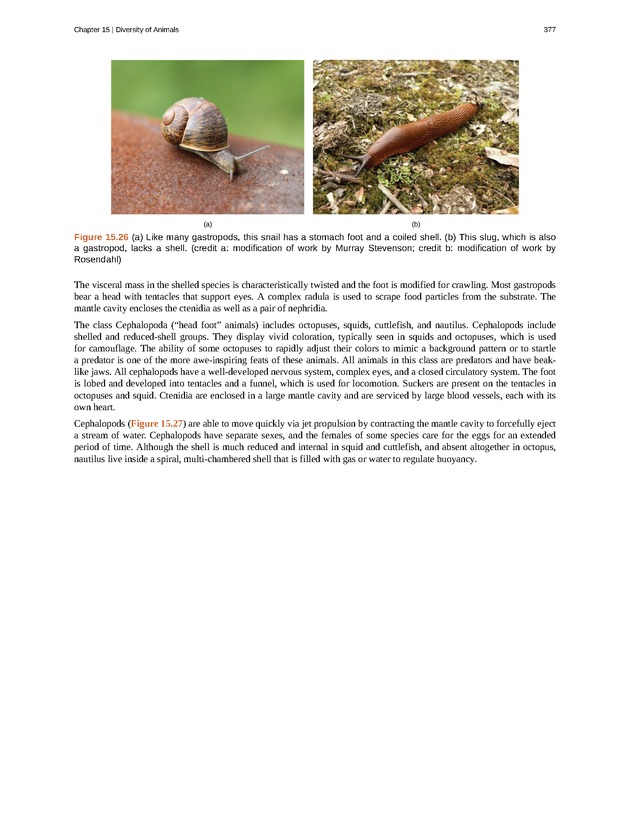 Concepts of Biology (non-majors) - Page 373