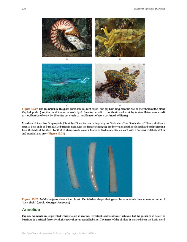 Concepts of Biology (non-majors) - Page 374