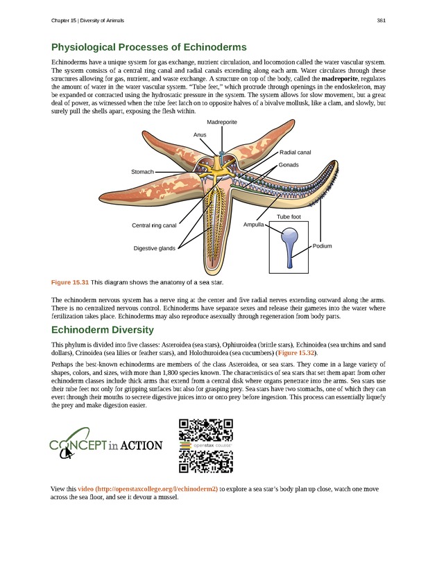 Concepts of Biology (non-majors) - Page 377