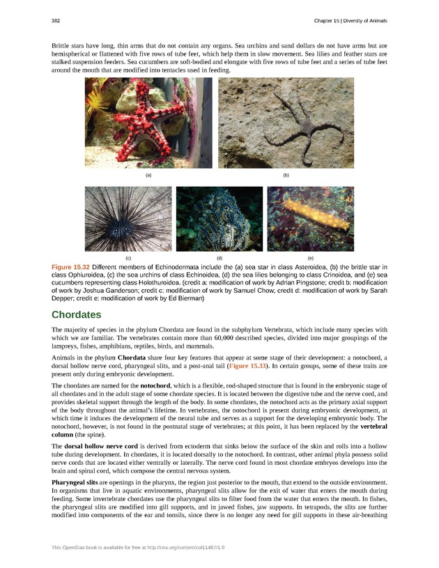 Concepts of Biology (non-majors) - Page 378