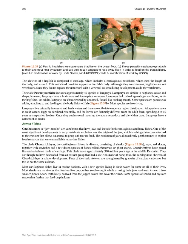 Concepts of Biology (non-majors) - Page 382