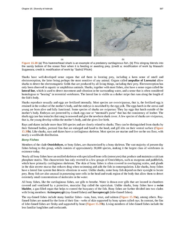 Concepts of Biology (non-majors) - Page 383