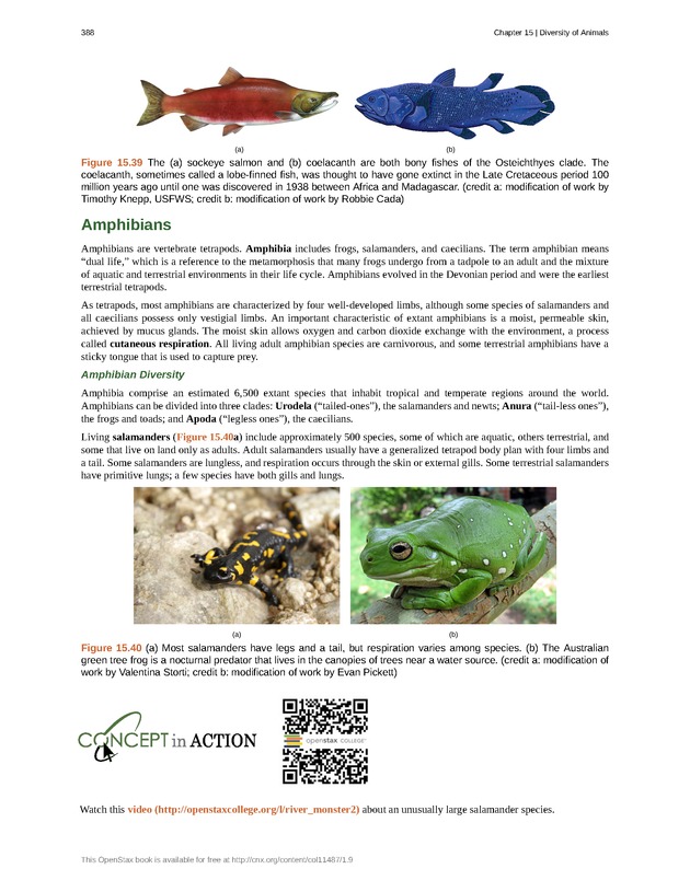 Concepts of Biology (non-majors) - Page 384