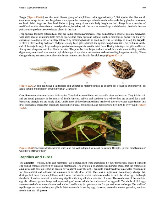 Concepts of Biology (non-majors) - Page 385