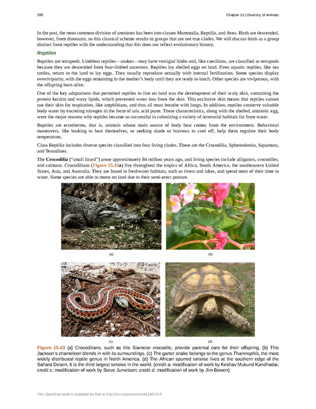 Concepts of Biology (non-majors) - Page 386