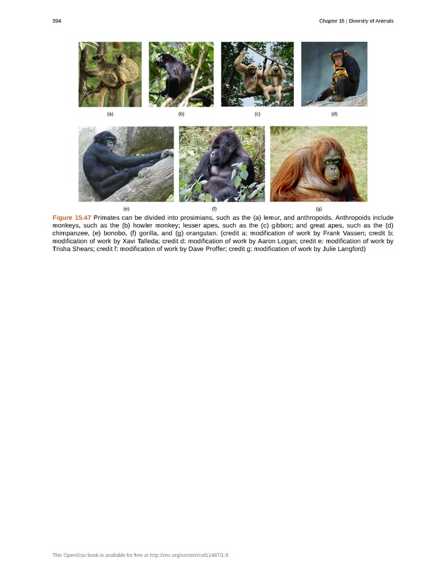 Concepts of Biology (non-majors) - Page 390