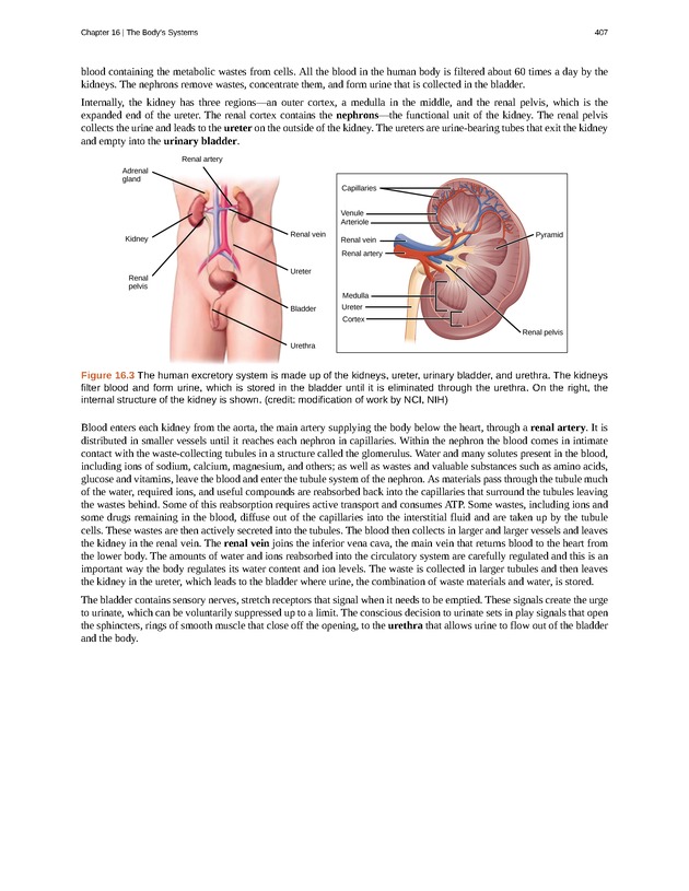 Concepts of Biology (non-majors) - Page 403