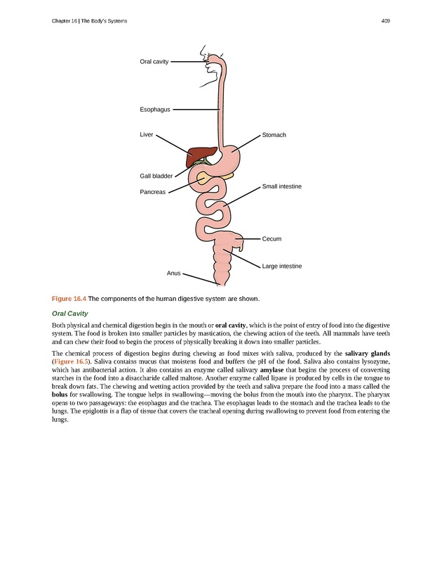 Concepts of Biology (non-majors) - Page 405