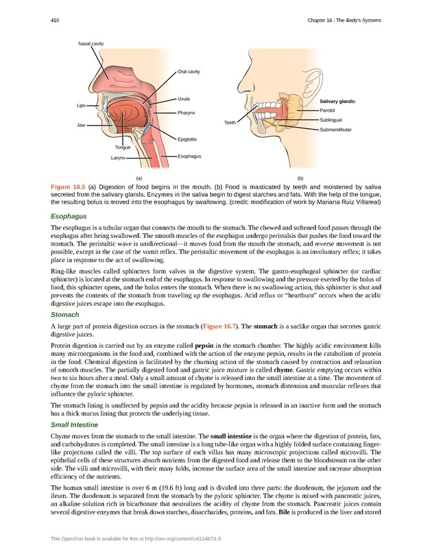 Concepts of Biology (non-majors) - Page 406