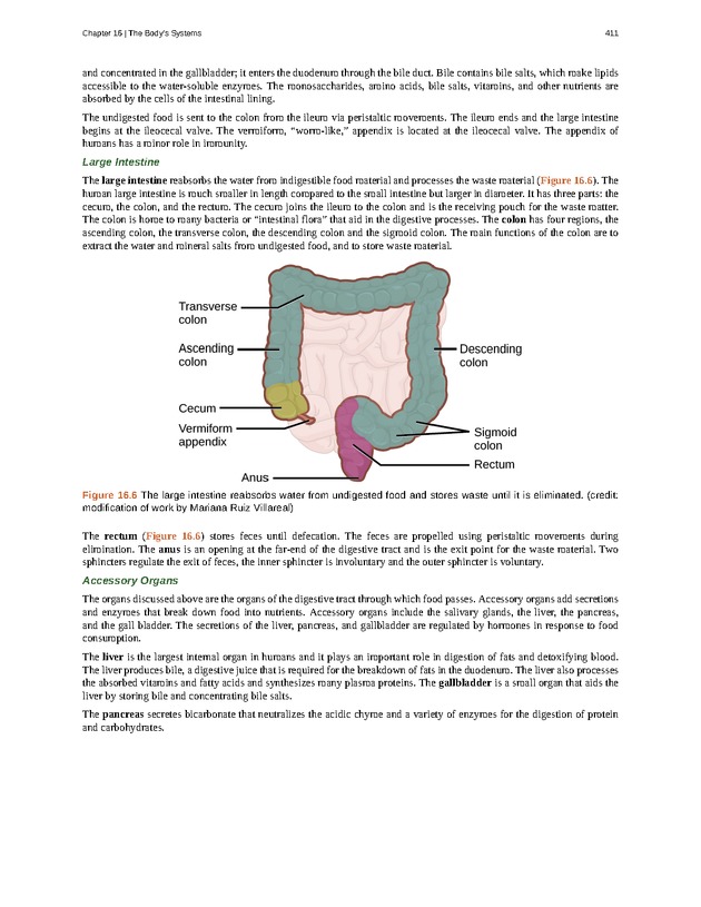 Concepts of Biology (non-majors) - Page 407