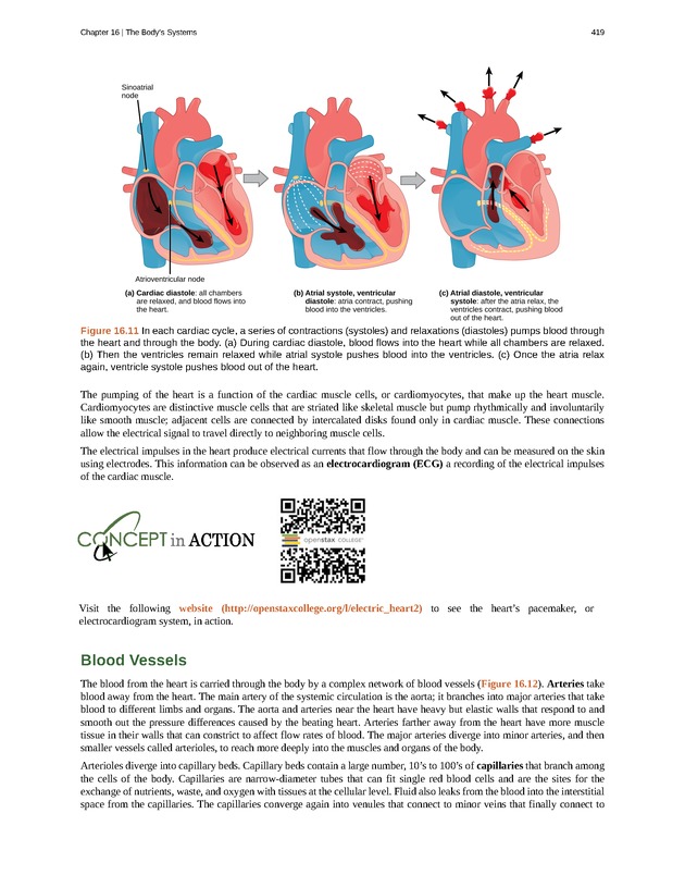Concepts of Biology (non-majors) - Page 415