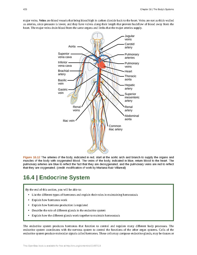 Concepts of Biology (non-majors) - Page 416