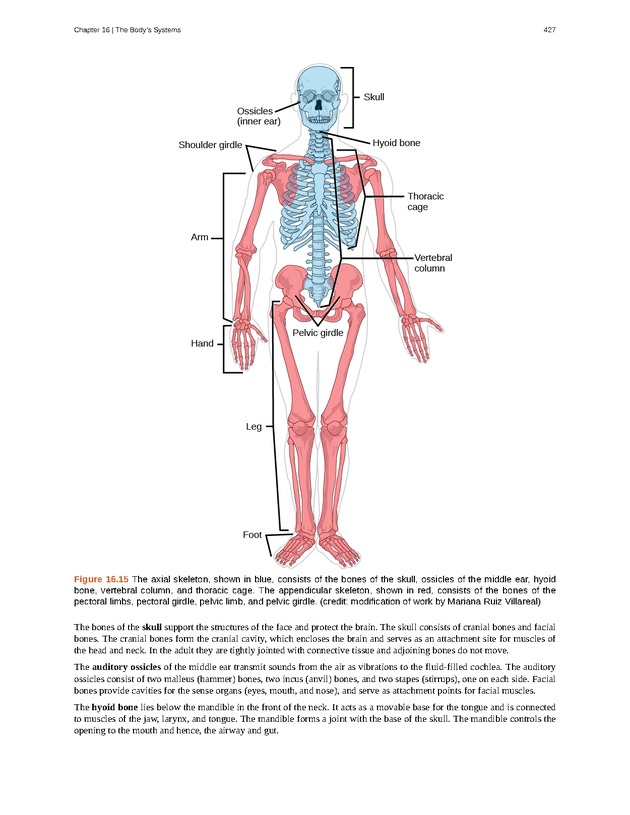Concepts of Biology (non-majors) - Page 423