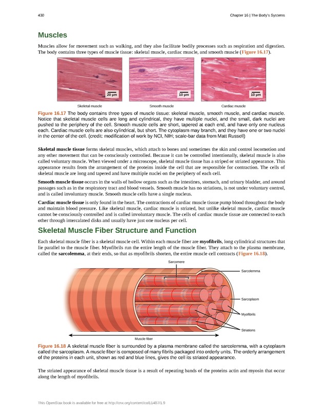 Concepts of Biology (non-majors) - Page 426