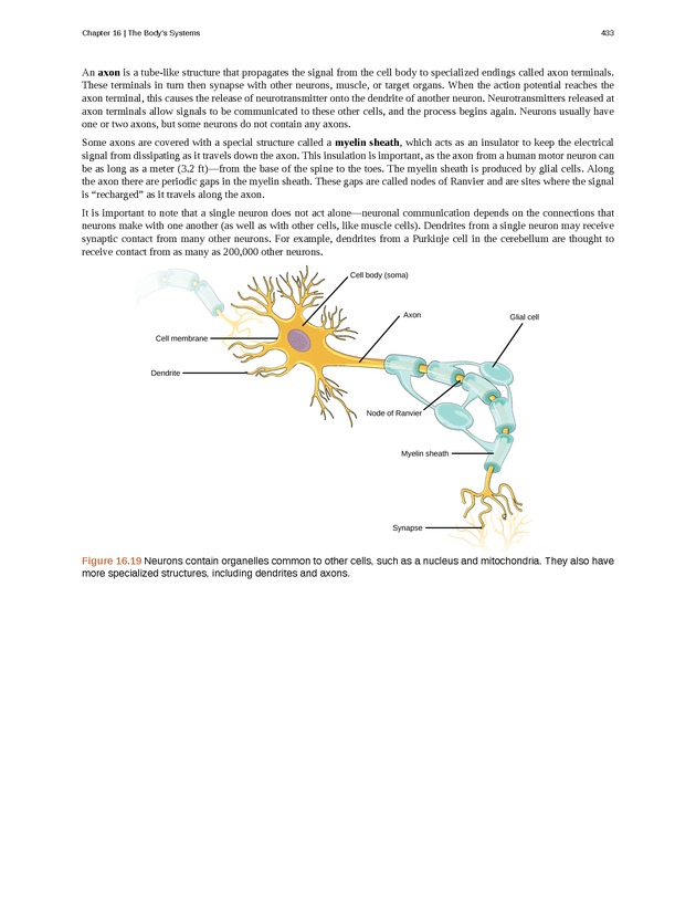 Concepts of Biology (non-majors) - Page 429