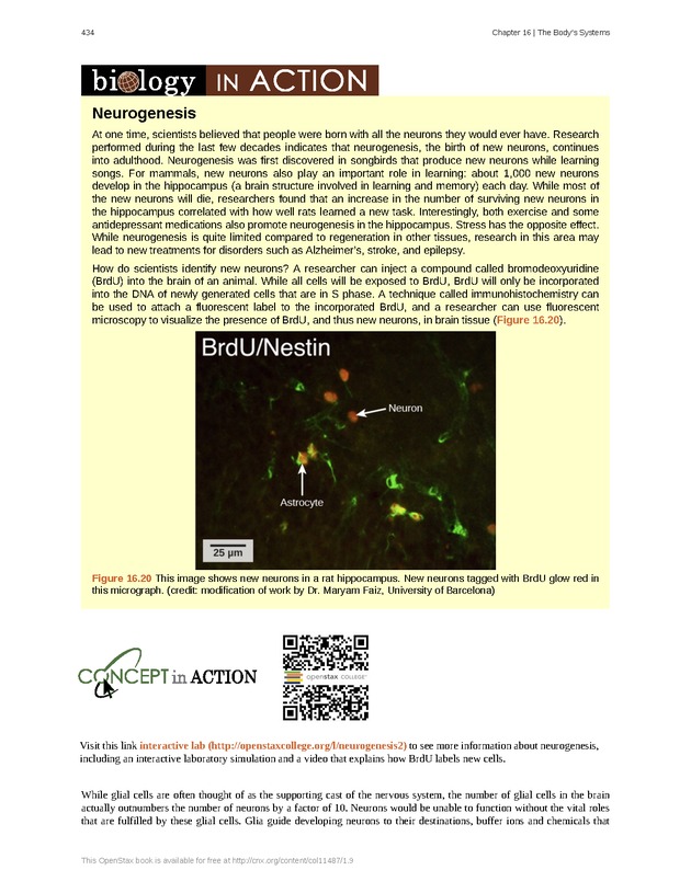 Concepts of Biology (non-majors) - Page 430