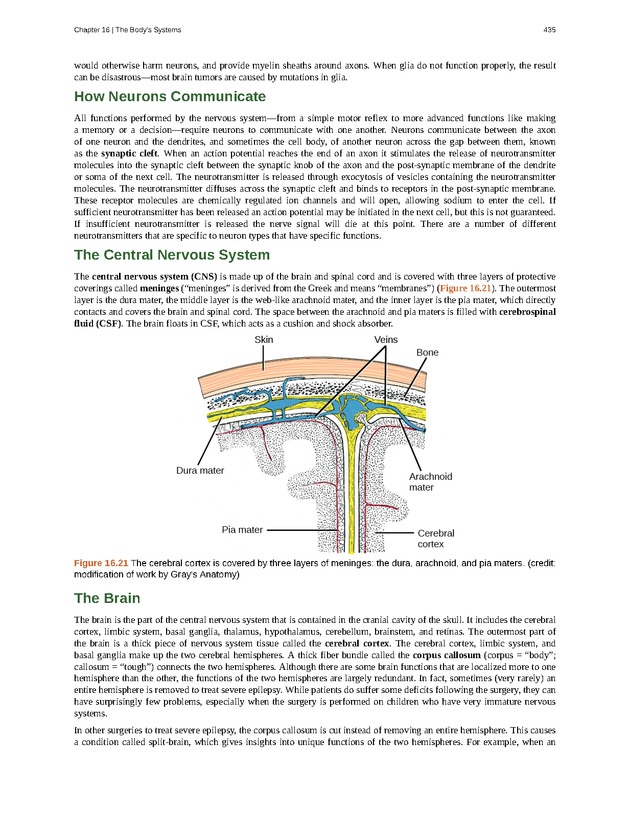 Concepts of Biology (non-majors) - Page 431