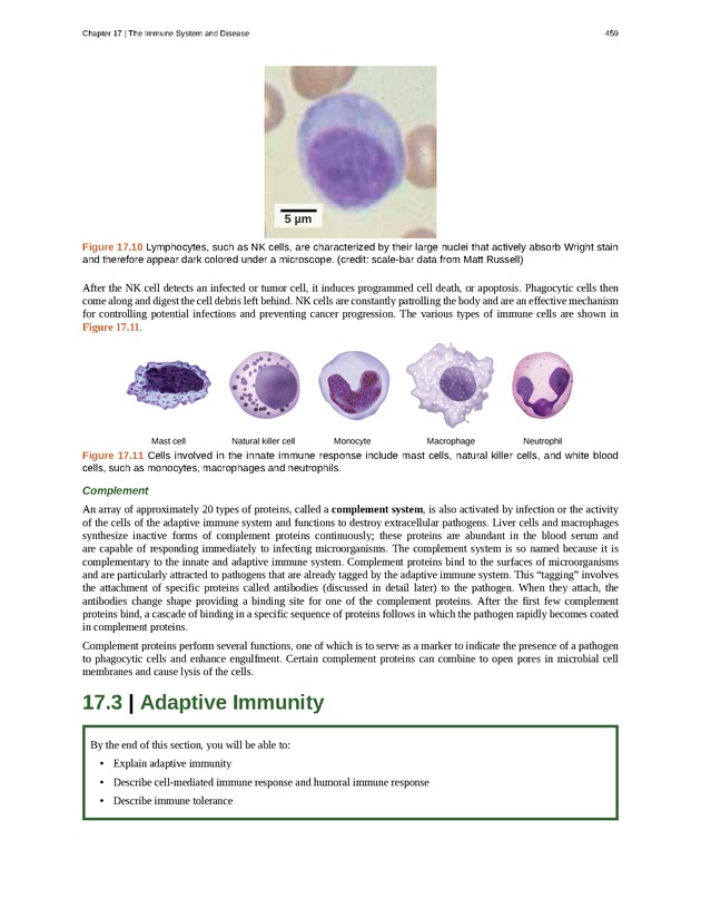 Concepts of Biology (non-majors) - Page 455