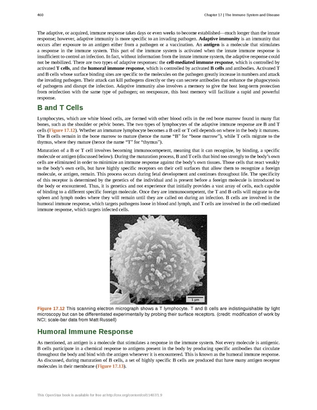 Concepts of Biology (non-majors) - Page 456