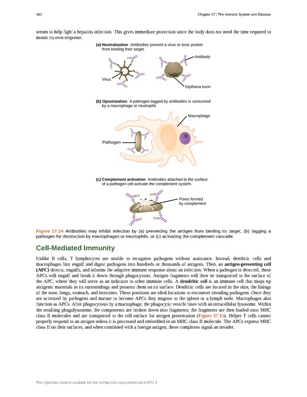 Concepts of Biology (non-majors) - Page 458