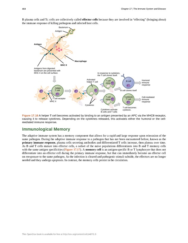 Concepts of Biology (non-majors) - Page 460