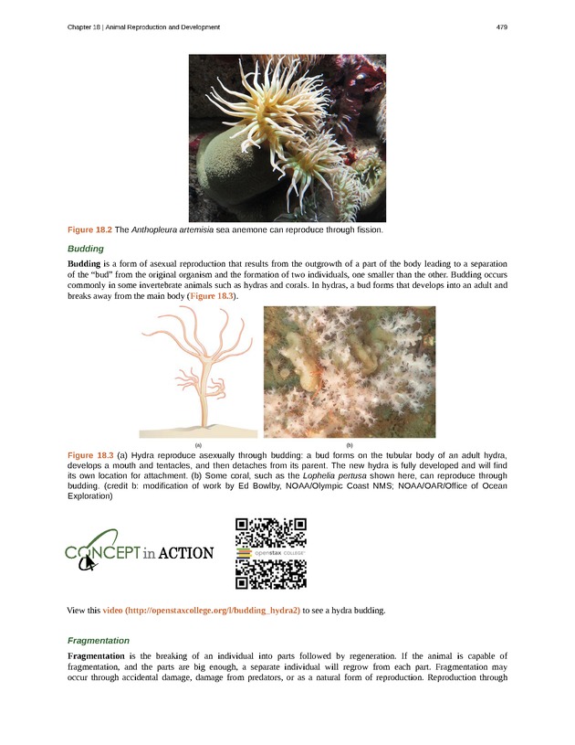 Concepts of Biology (non-majors) - Page 475
