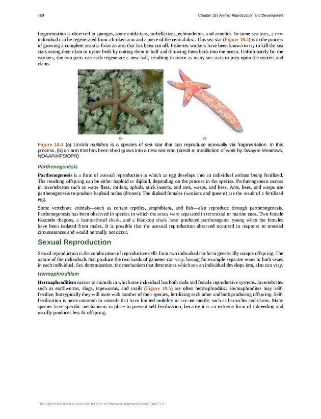 Concepts of Biology (non-majors) - Page 476