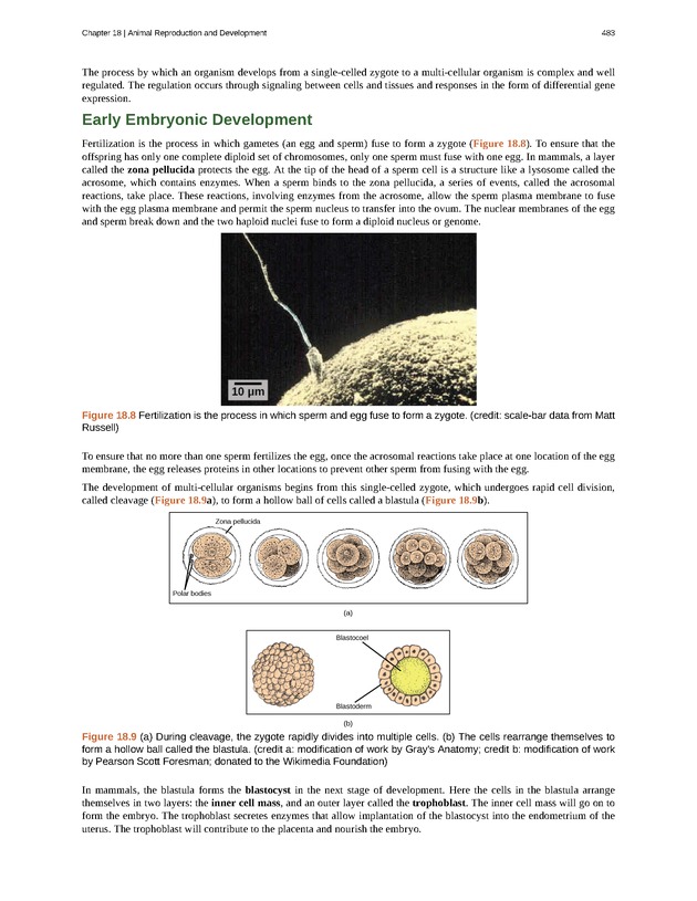 Concepts of Biology (non-majors) - Page 479