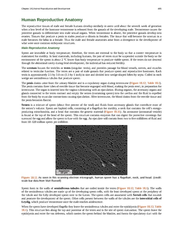 Concepts of Biology (non-majors) - Page 481