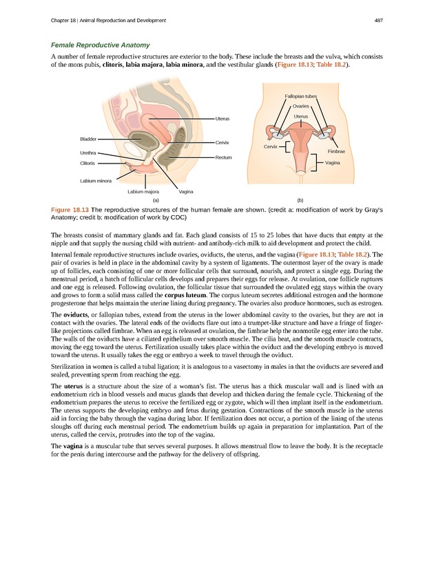 Concepts of Biology (non-majors) - Page 483
