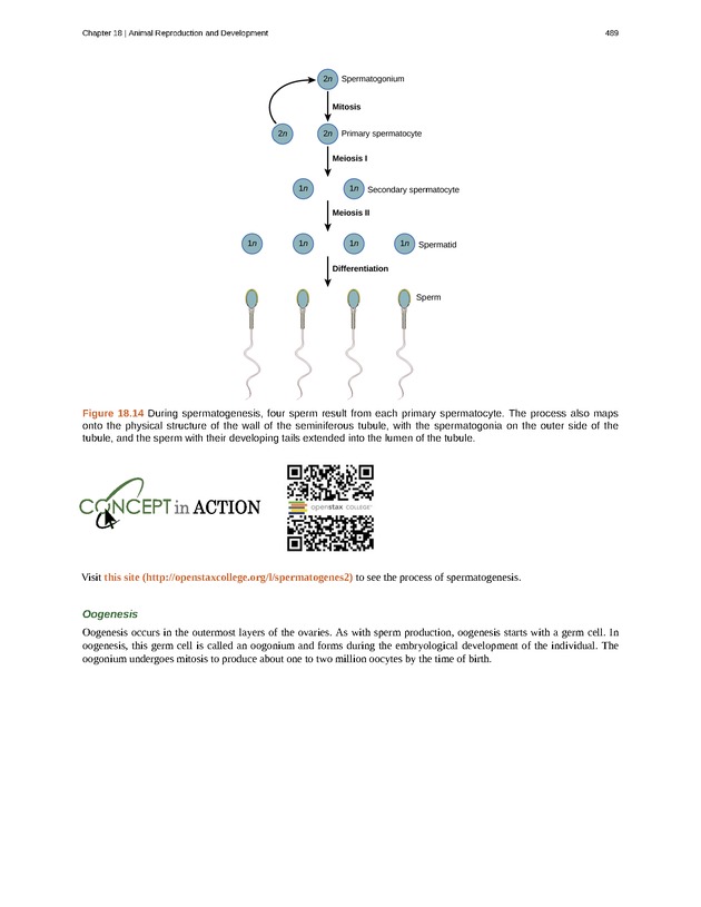 Concepts of Biology (non-majors) - Page 485